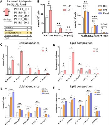Flow-mediated modulation of the endothelial cell lipidome